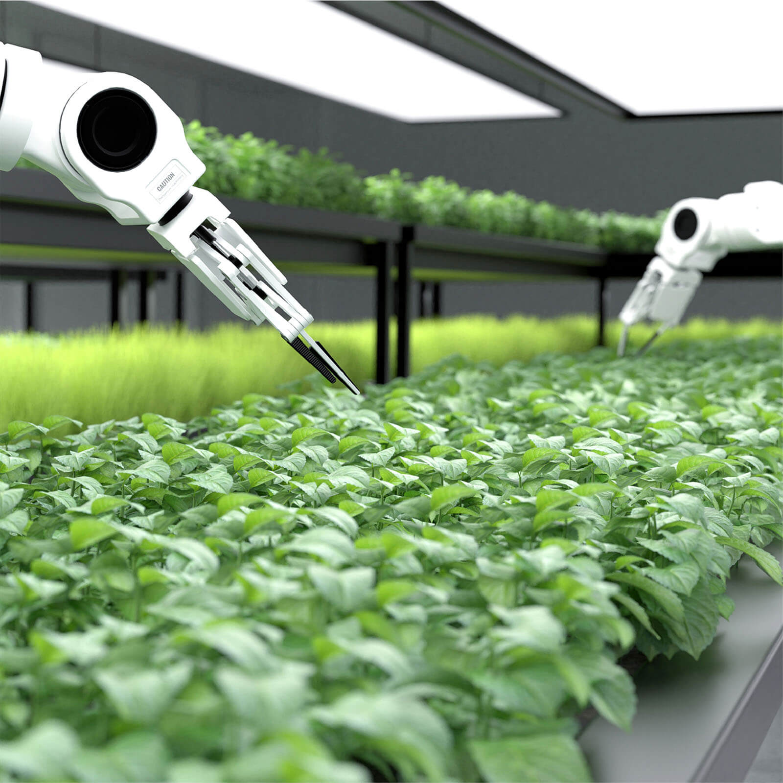 iot-in-agriculture