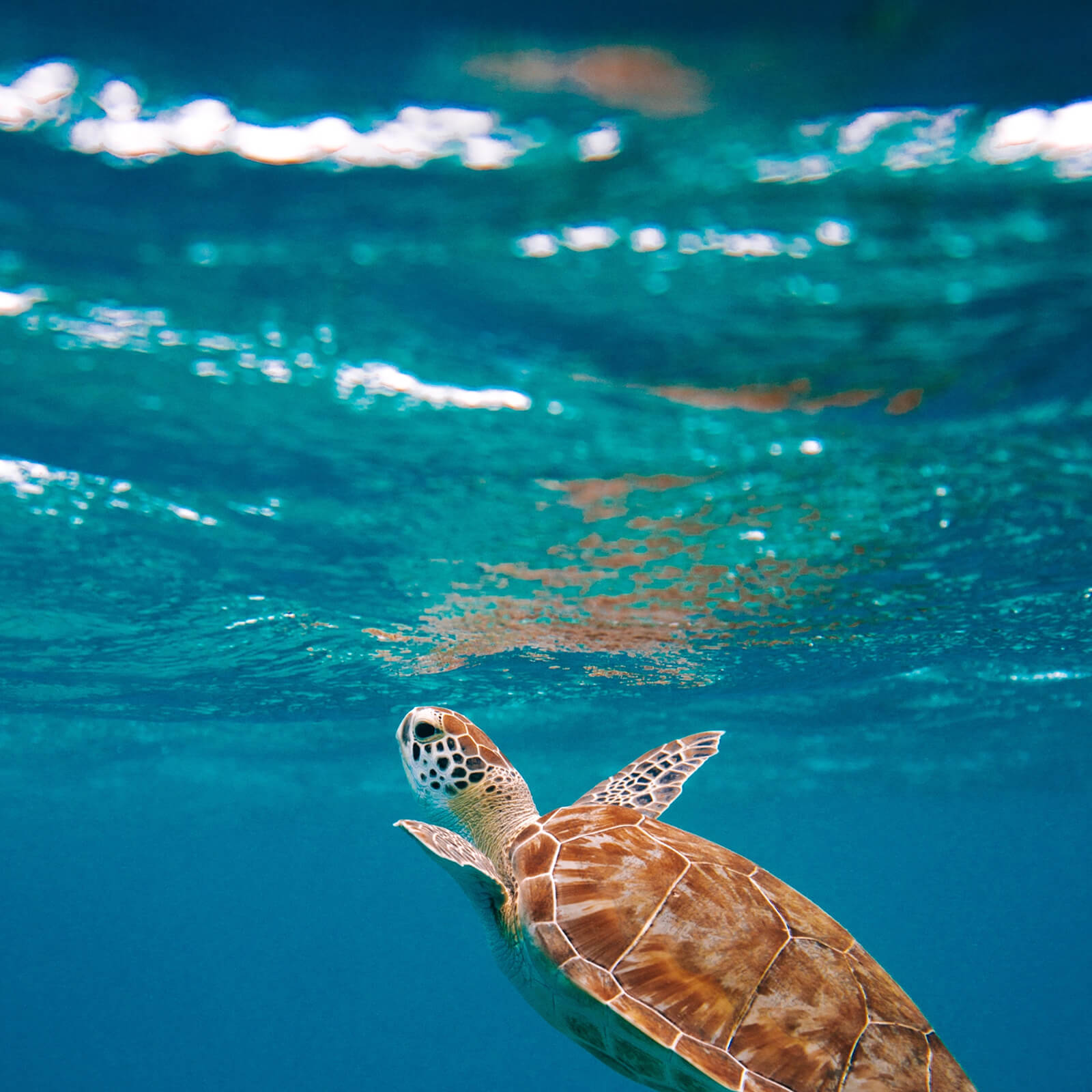 what-esg-means-for-business-a-driving-force-to-create-value